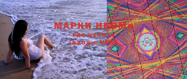 прущие грибы Медвежьегорск