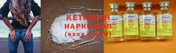 прущие грибы Медвежьегорск