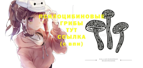 spice Мегион