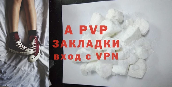 прущие грибы Медвежьегорск