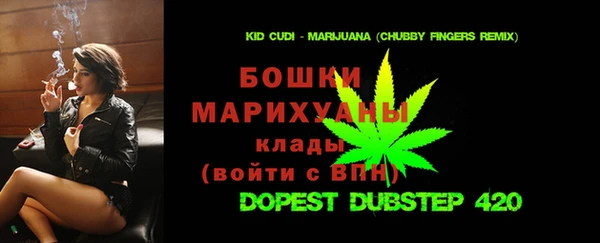 прущие грибы Медвежьегорск