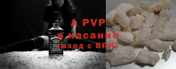 прущие грибы Медвежьегорск