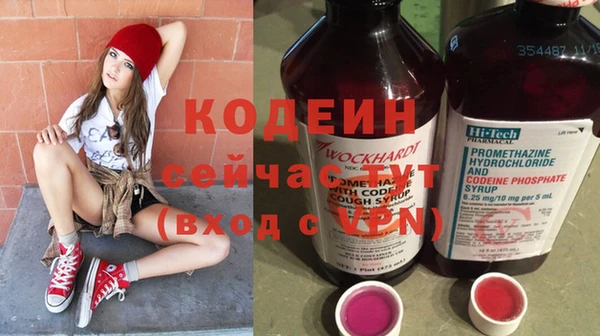 прущие грибы Медвежьегорск