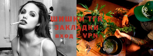 прущие грибы Медвежьегорск