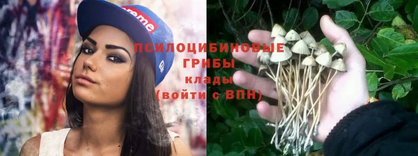 spice Мегион
