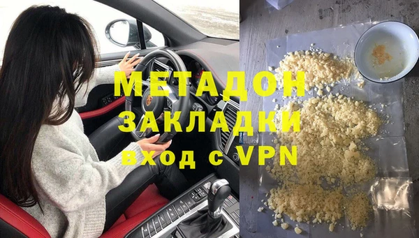 прущие грибы Медвежьегорск