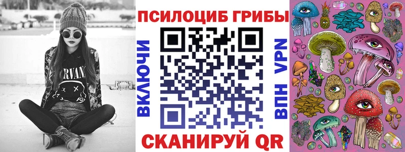 как найти наркотики  Саратов  Галлюциногенные грибы Psilocybe 